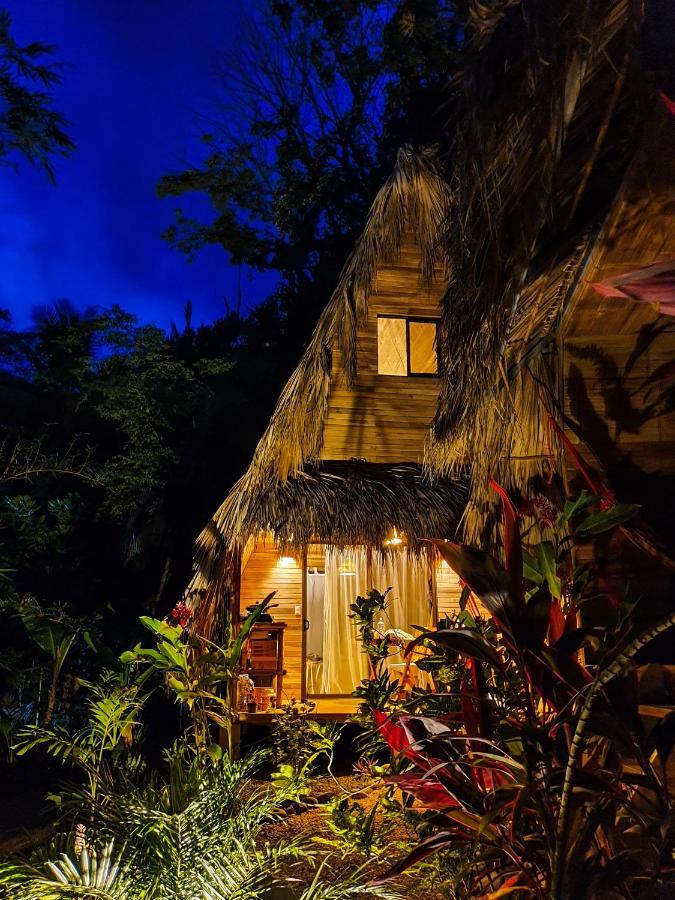 Buena Onda Bungalows Playa Santa Teresa  エクステリア 写真
