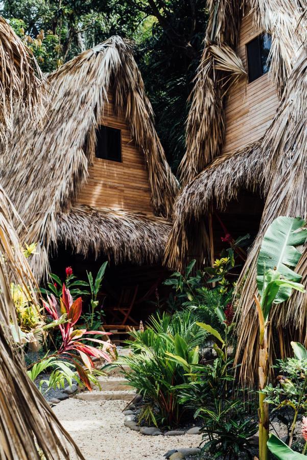 Buena Onda Bungalows Playa Santa Teresa  エクステリア 写真