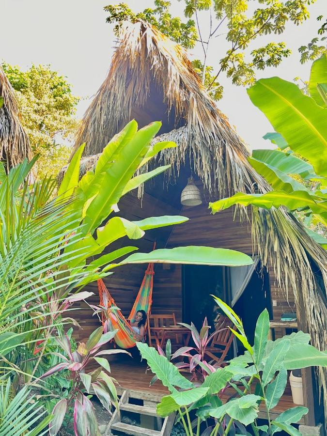 Buena Onda Bungalows Playa Santa Teresa  エクステリア 写真