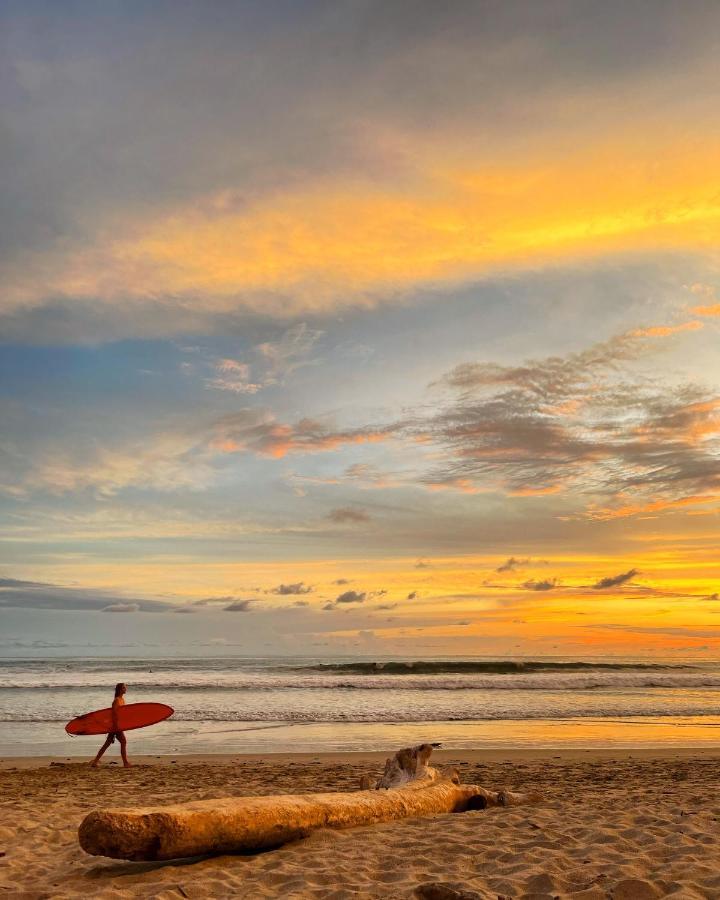 Buena Onda Bungalows Playa Santa Teresa  エクステリア 写真