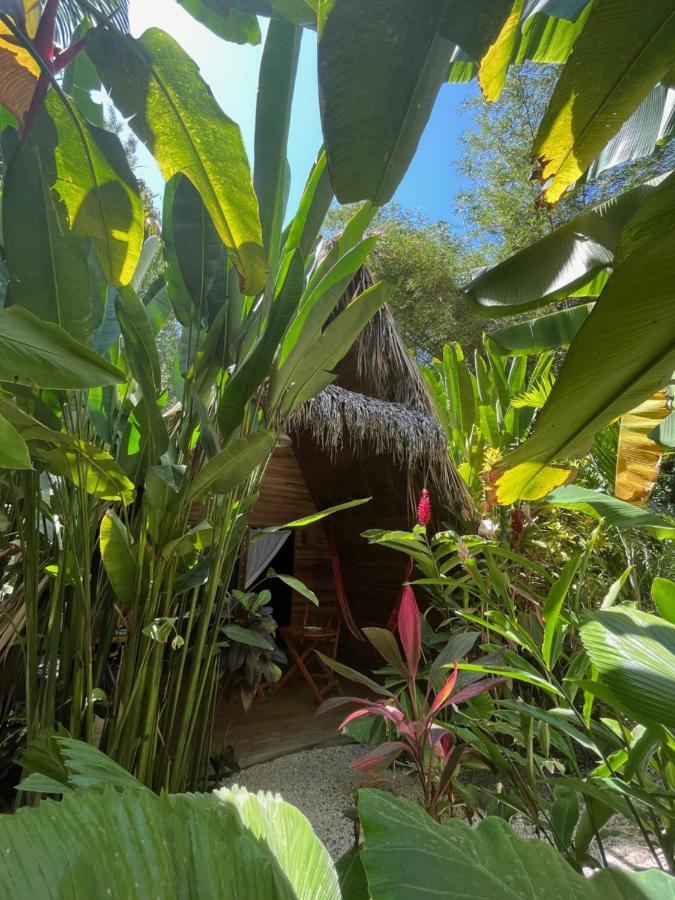 Buena Onda Bungalows Playa Santa Teresa  エクステリア 写真